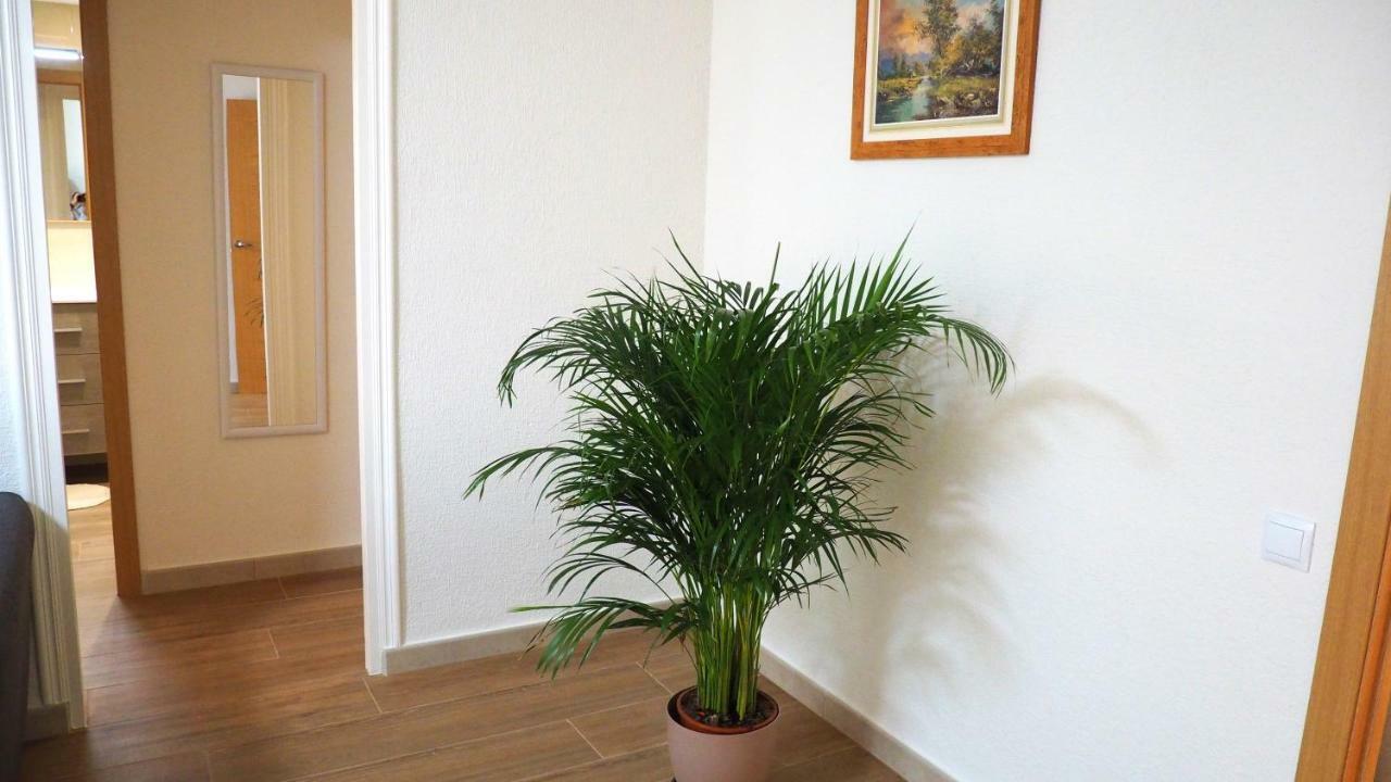Apartamento En Ani Αλικάντε Εξωτερικό φωτογραφία